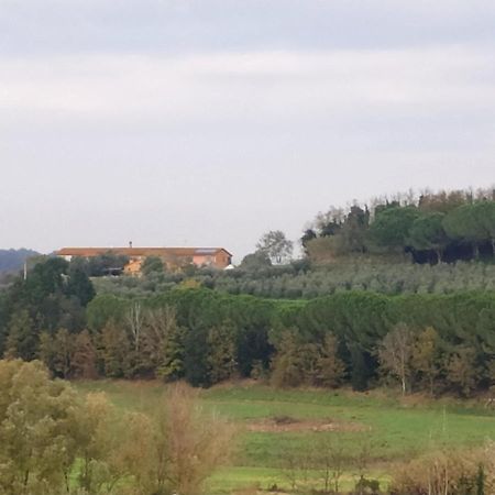 Agriturismo L'Isola Crespina Kültér fotó