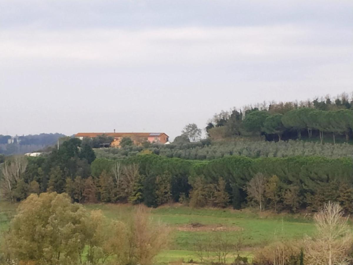 Agriturismo L'Isola Crespina Kültér fotó