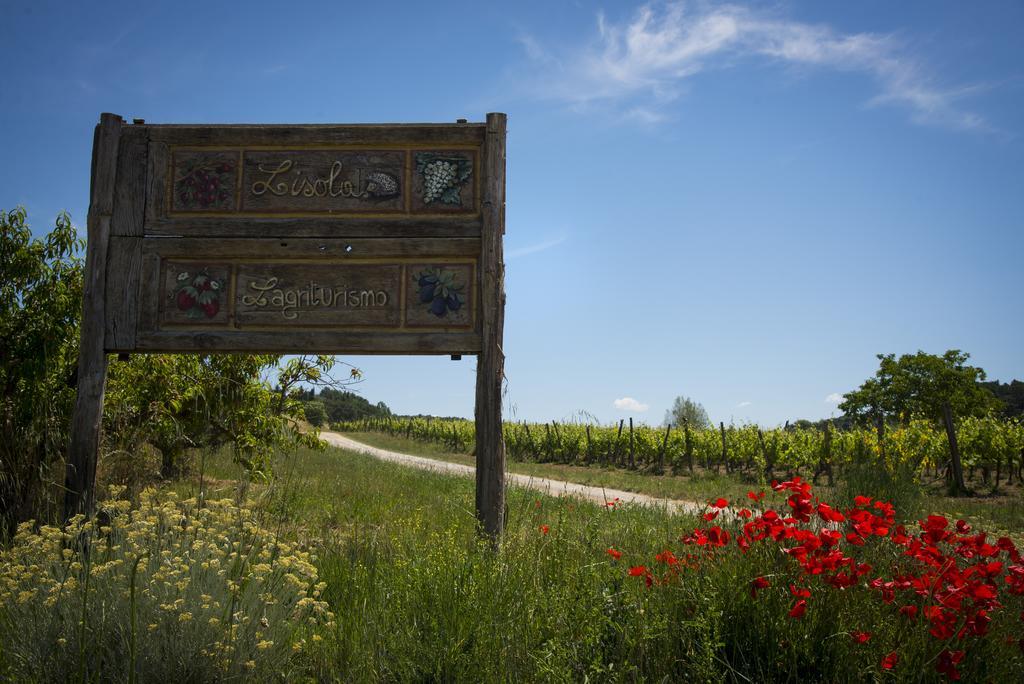 Agriturismo L'Isola Crespina Szoba fotó