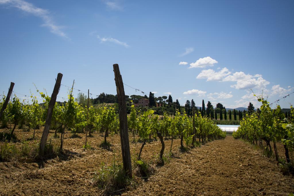 Agriturismo L'Isola Crespina Kültér fotó