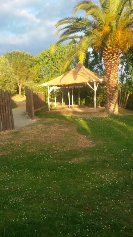 Agriturismo L'Isola Crespina Kültér fotó