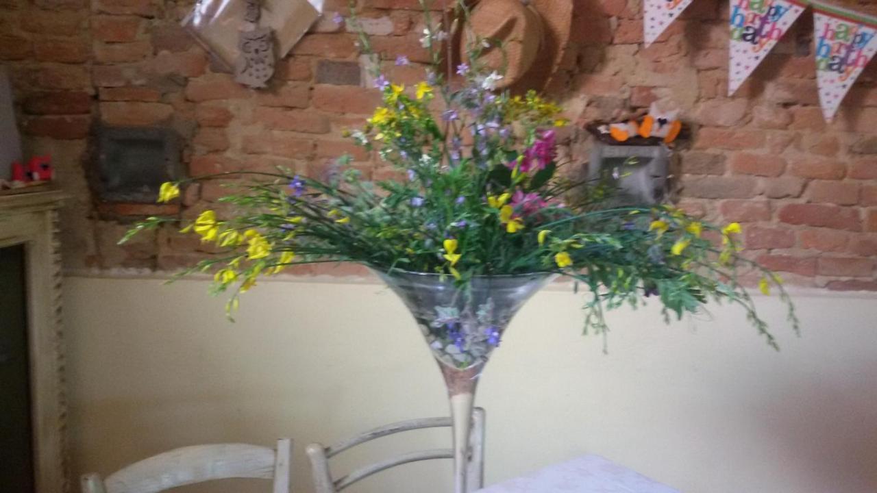 Agriturismo L'Isola Crespina Kültér fotó