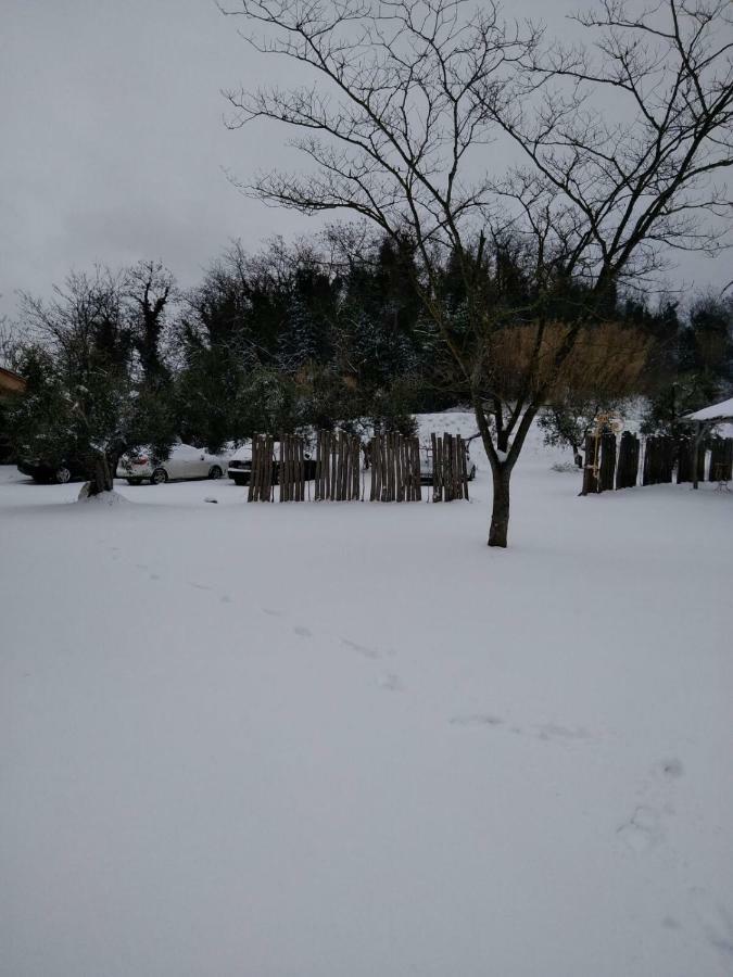 Agriturismo L'Isola Crespina Kültér fotó